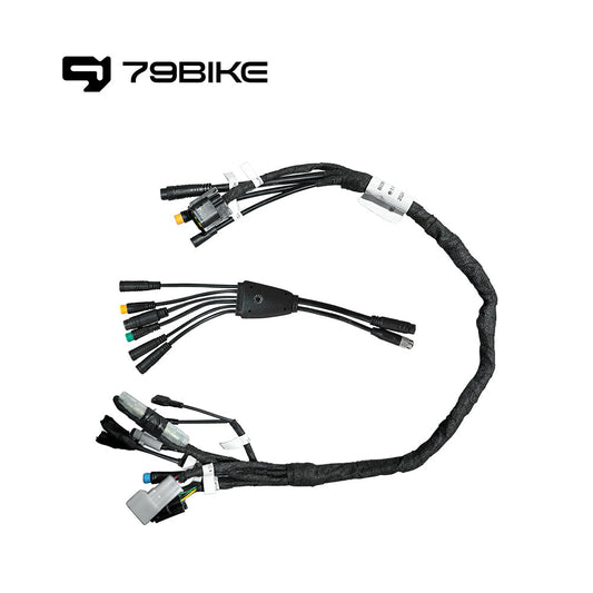 79BIKE Whole Wiring Harness